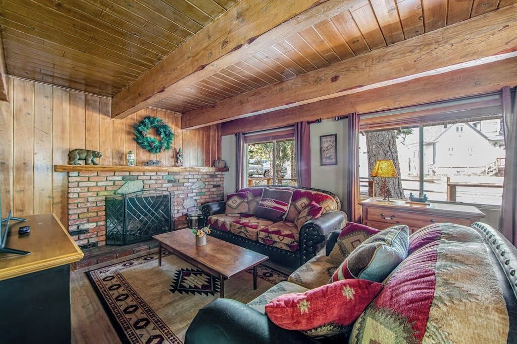 TV, fireplace, books