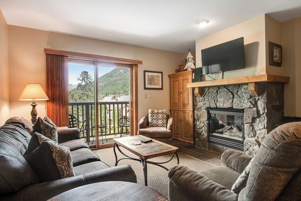 TV, fireplace, DVD player, books
