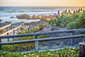 A coastal garden with a wooden fence, various plants, and a view of the ocean. - Panoramic Ocean and Sunset Views with EV Charging available (Cambria)