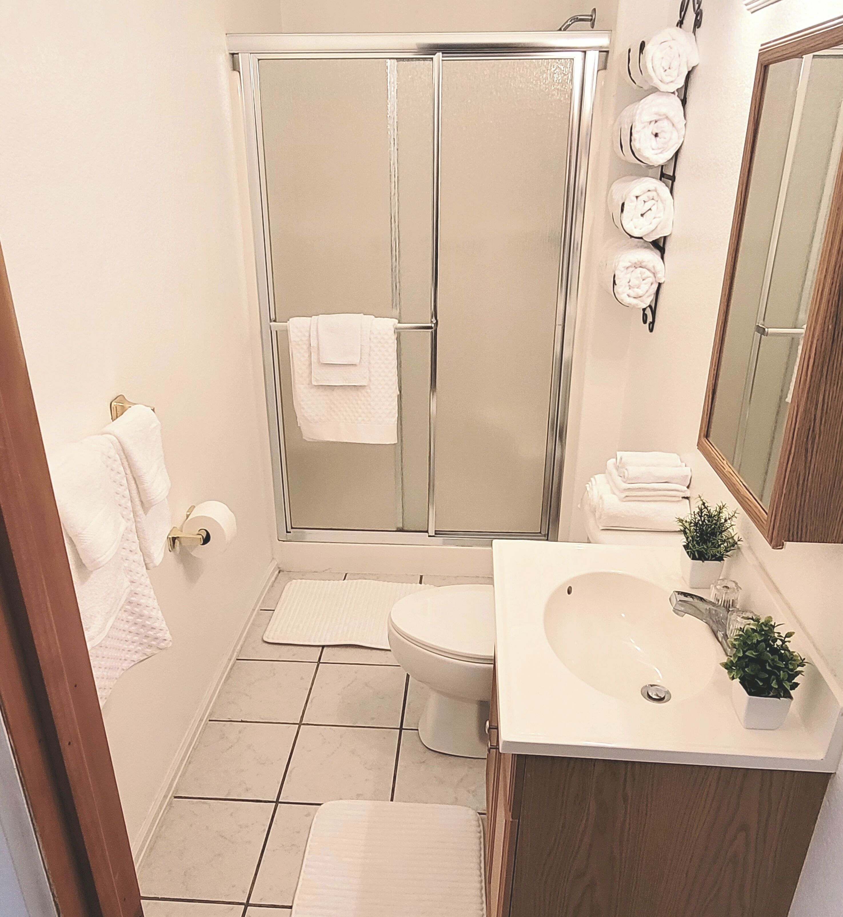 Shower, jetted bath, hair dryer, towels