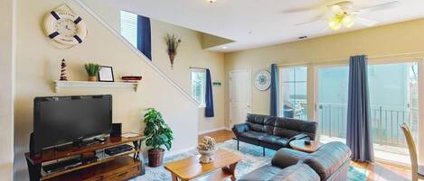 TV, DVD player, video library