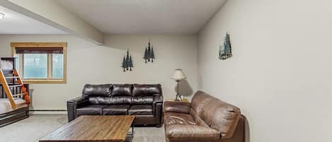 TV, fireplace, books