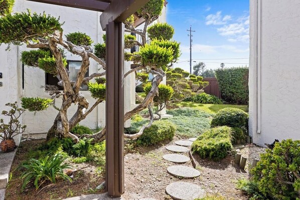 A traditional Japanese garden with a bonsai tree, stone path, and well-maintained shrubs. - Classic getaway by the sea within walking distance to everything w/ocean views (Cayucos)