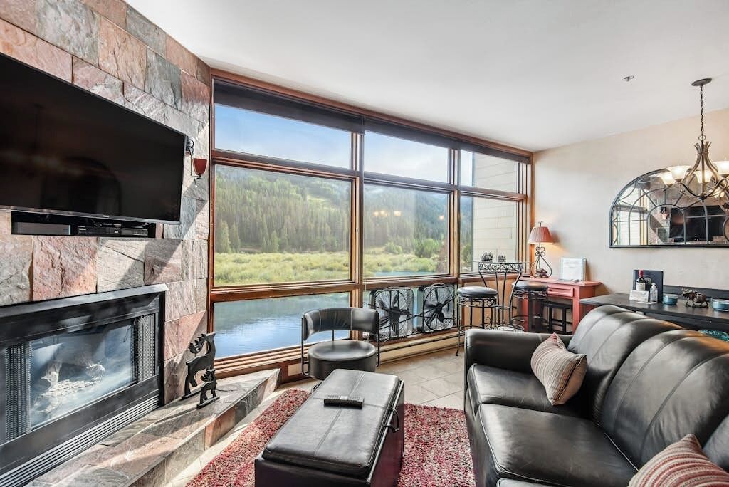 TV, fireplace, DVD player, books