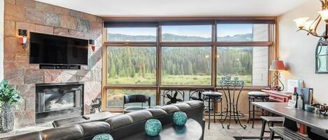 TV, fireplace, DVD player, books