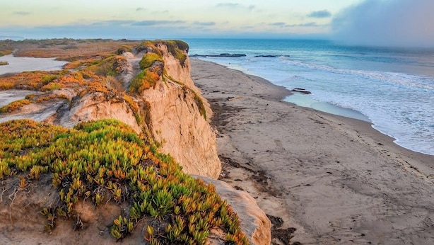 A coastal landscape with a sandy beach, rocky cliffs, and sparse vegetation.