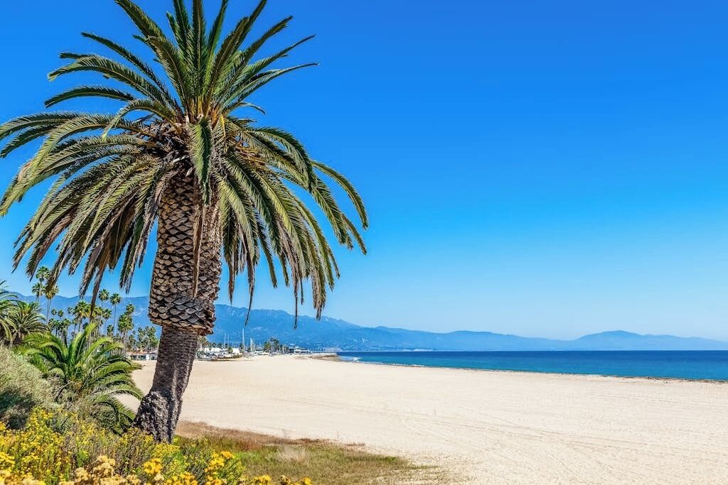 Ranta