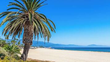A beach with a palm tree, clear sky, and distant mountains.