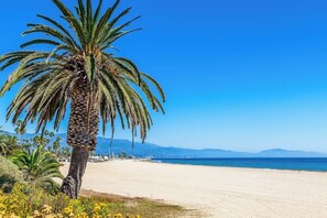 Ein Strand mit einer Palme, blauem Himmel und Bergen in der Ferne.