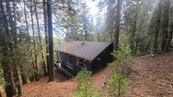 A cabin in a forest with a steep roof and a small deck.