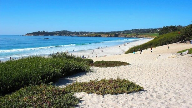 A beach with clear blue water, sandy shore, and greenery. - Surf-side monthly rental with ocean views, beach access & private hot tub (Carmel-by-the-Sea)