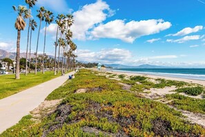 Un paseo marítimo bordeado de palmeras y algas, que conduce a una playa.