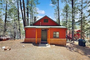 A small, single-story cabin with a red exterior and a green roof, surrounded by trees.