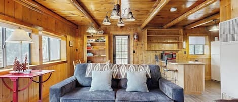 Televisión, chimenea y libros