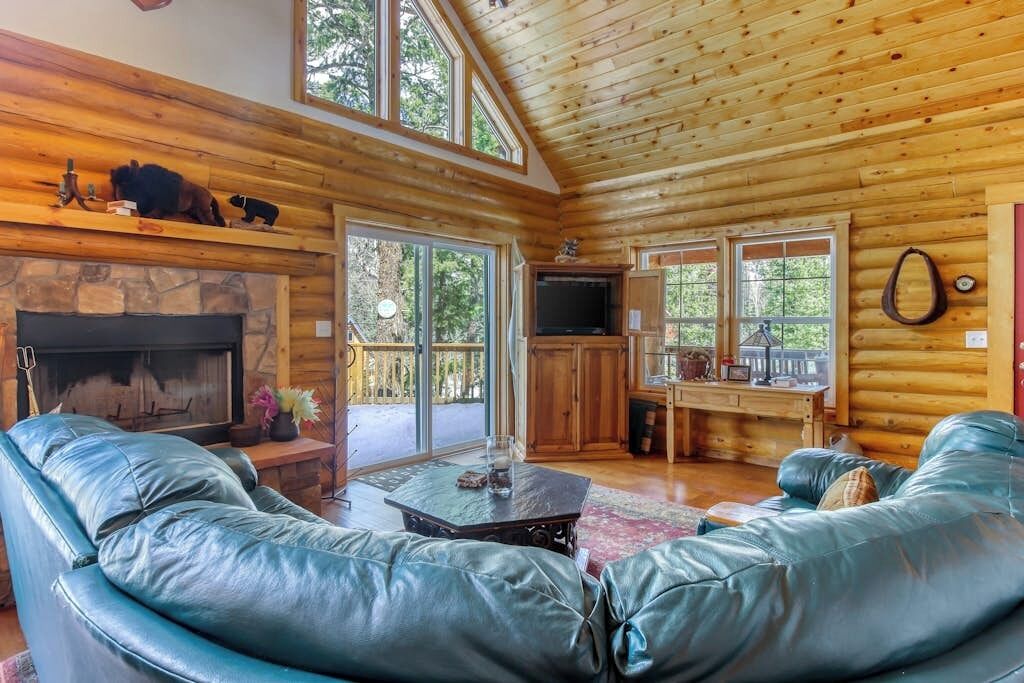 TV, fireplace, DVD player