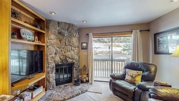 TV, fireplace, DVD player, video library