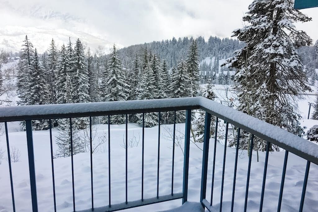 A snow-covered landscape with a metal railing, trees, and a mountain in the background.