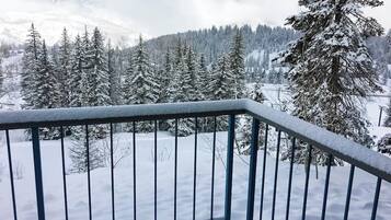 A snow-covered landscape with a metal railing, trees, and a mountain in the background.