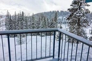 Schneebedeckte Landschaft mit einem Metallgeländer, Bäumen und einem Berg im Hintergrund.