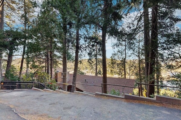 A parking area with a paved surface, a metal railing, and tall trees in the background.