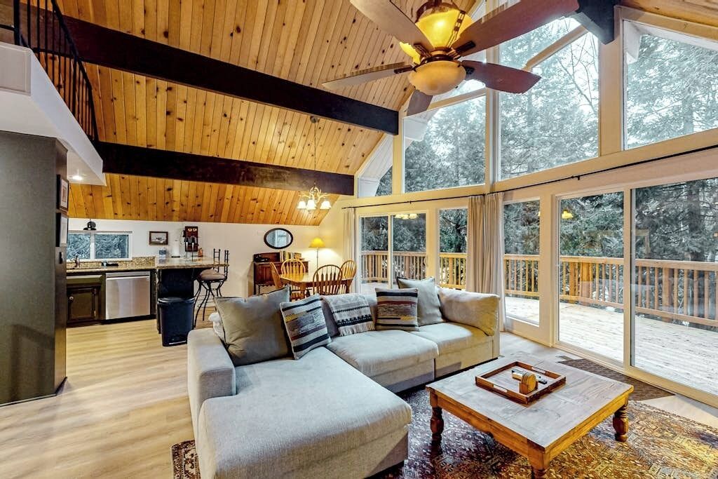 TV, fireplace, DVD player, books