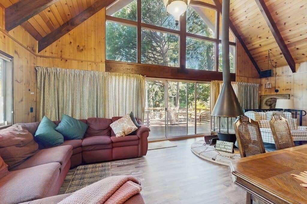 TV, fireplace, books