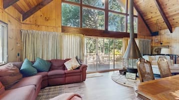 TV, fireplace, books
