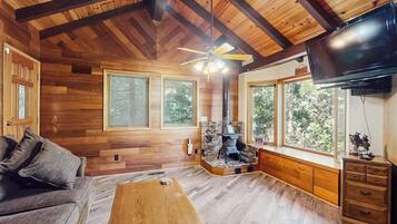 TV, fireplace, books