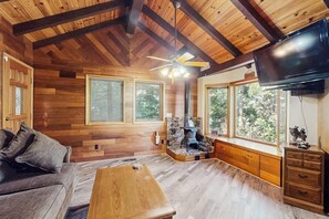 TV, fireplace, books