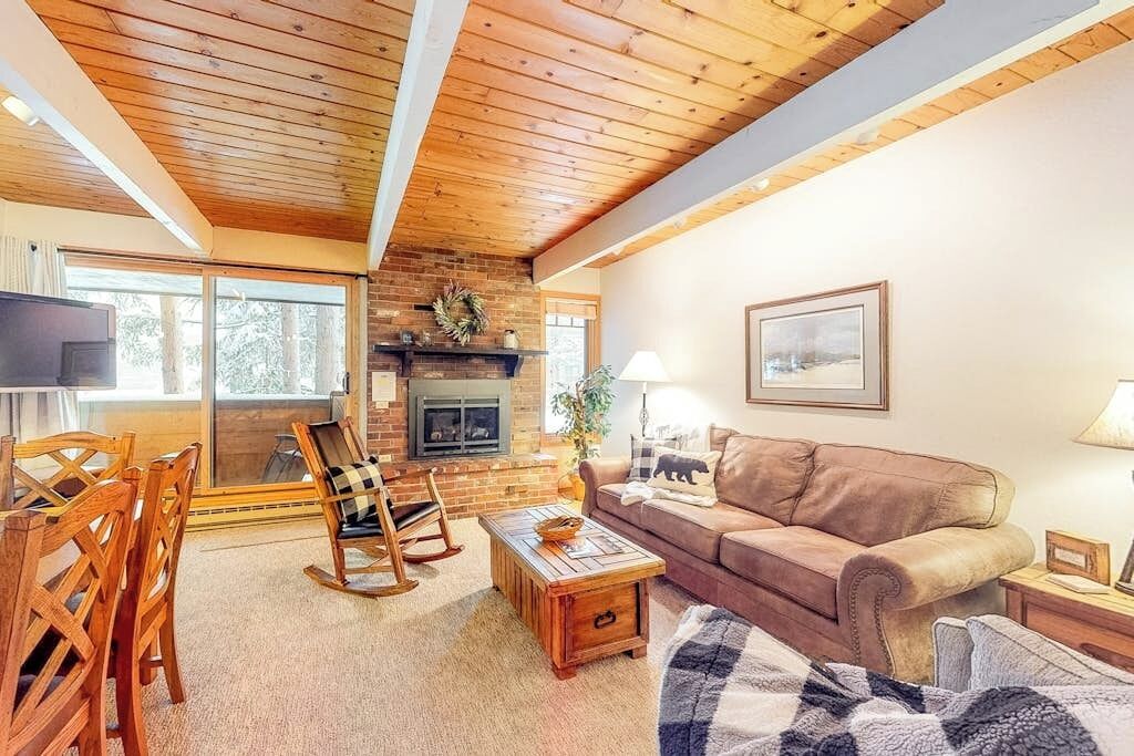 TV, fireplace, DVD player, video library