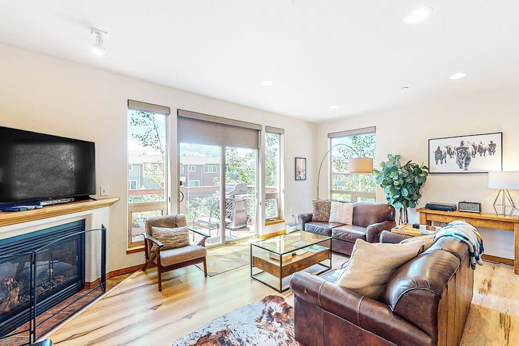 TV, fireplace, DVD player, books
