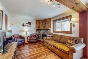 TV, fireplace, DVD player