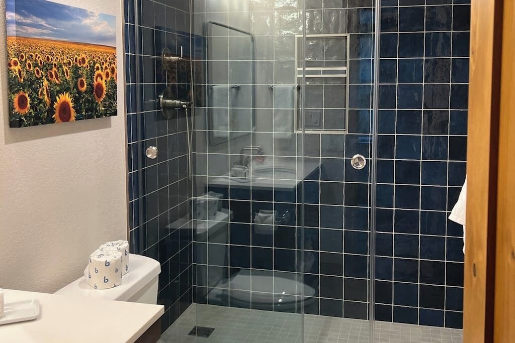 Douche, séchoir à cheveux, serviettes fournies