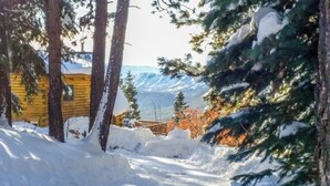 Camino cubierto de nieve que lleva a una cabaña de madera con vista a la montaña.