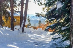 A snow-covered path leading to a wooden cabin with a mountain view. - Unplugged dog-friendly getaway with tree-lined views (Durango)