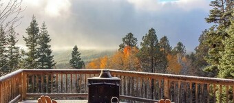Unplugged dog-friendly getaway with tree-lined views