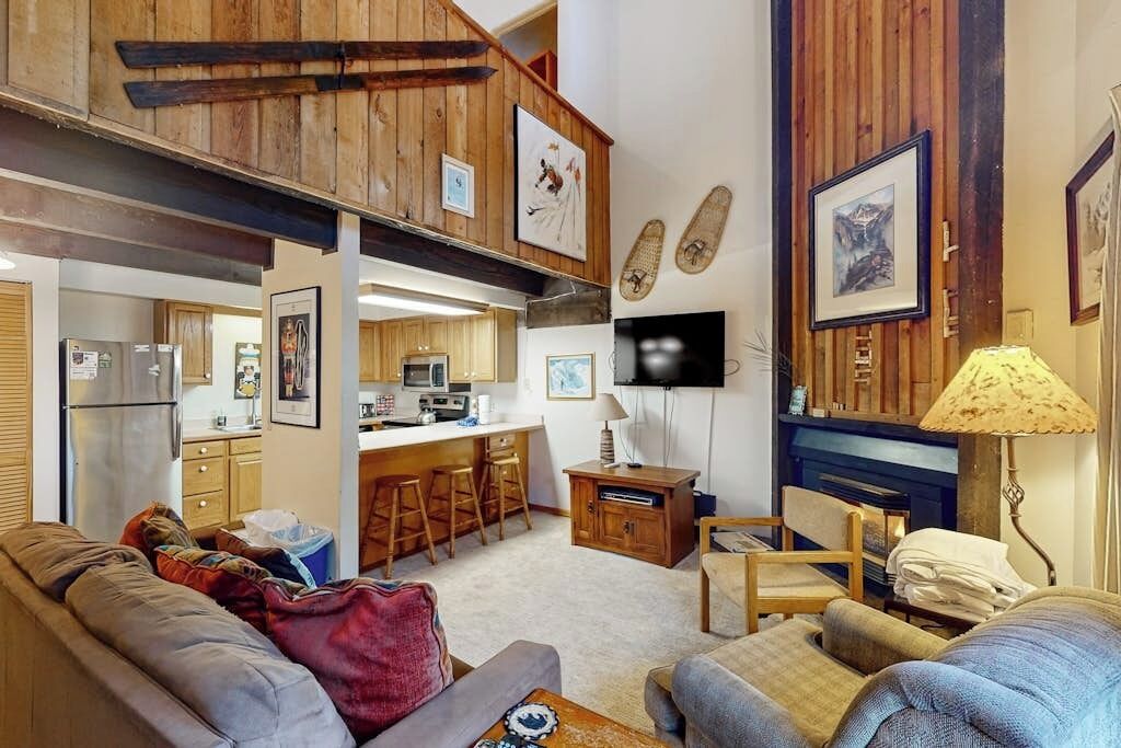 TV, fireplace, DVD player, books