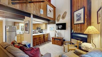 TV, fireplace, DVD player, books