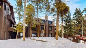 Un edificio moderno con fachada de madera y múltiples ventanas, rodeado de árboles y nieve.