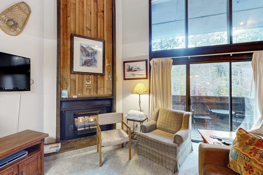 TV, fireplace, DVD player, books