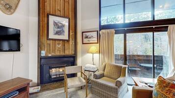 TV, fireplace, DVD player, books