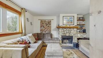 TV, fireplace, DVD player, books