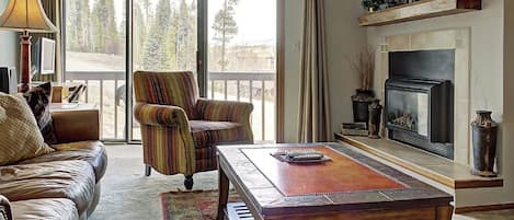 TV, fireplace, DVD player, stereo