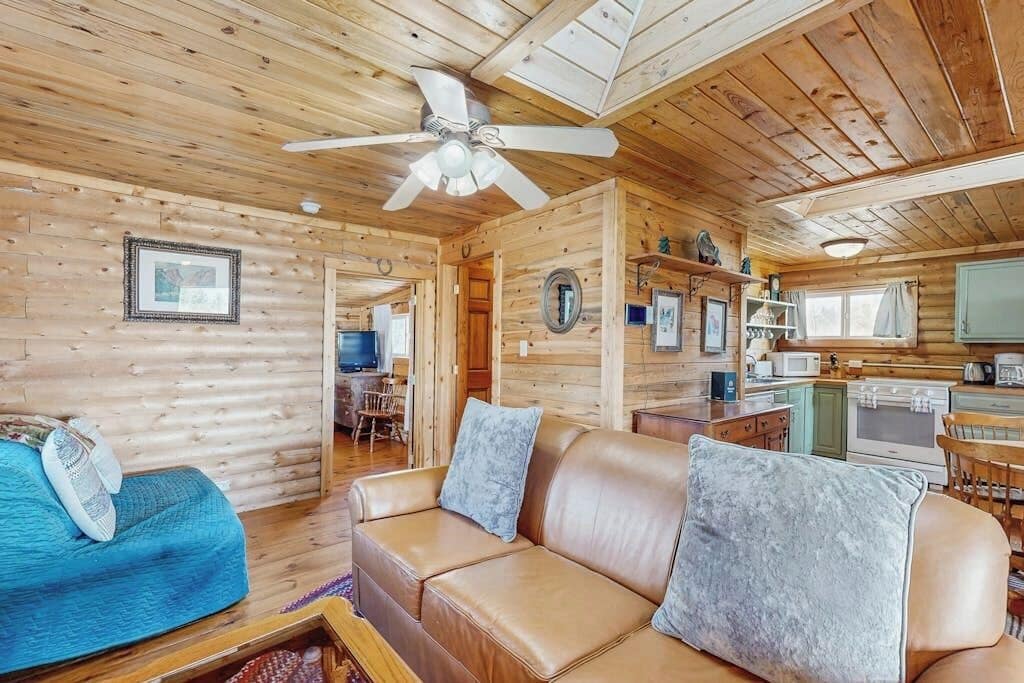 TV, fireplace, DVD player, books