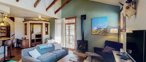 TV, fireplace, DVD player, video library