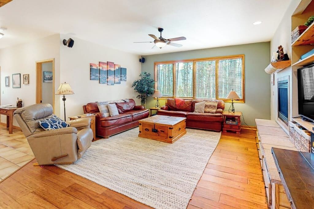 TV, fireplace, DVD player, books