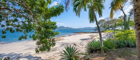 Una playa con palmeras, orilla arenosa y vista despejada del mar.