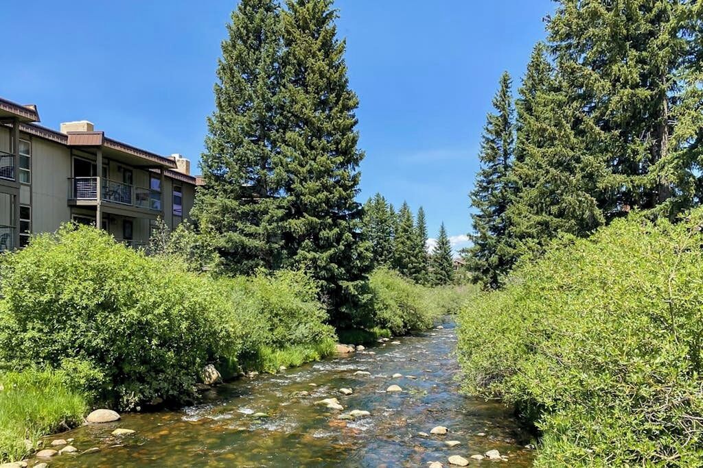 Un río serpentea por una zona boscosa de altos árboles perennes, con un edificio a la izquierda.