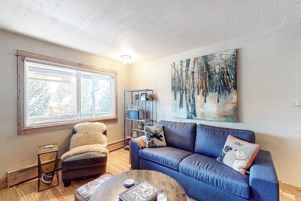 TV, fireplace, DVD player