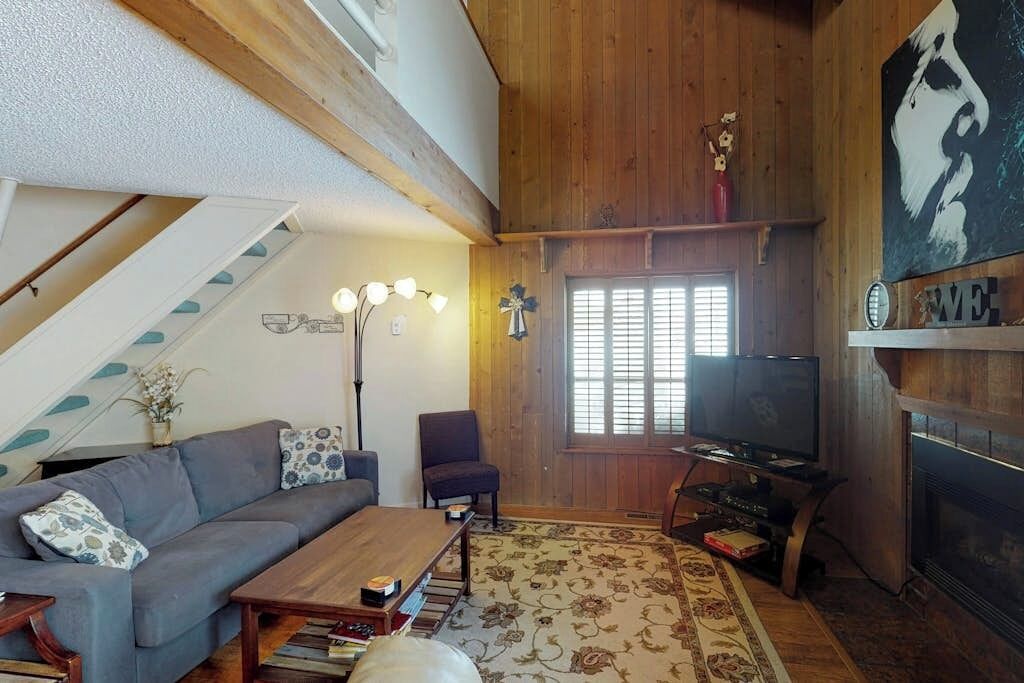 Téléviseur, foyer, lecteur de DVD, livres